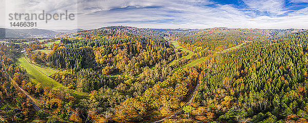 Deutschland  Baden-Württemberg  Schwäbisch-Fränkischer Wald  Luftaufnahme des Waldes im Herbst