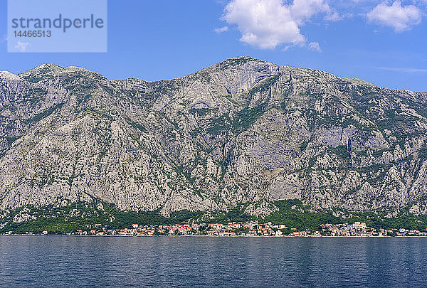 Montenegro  Bucht von Kotor  Dobrota