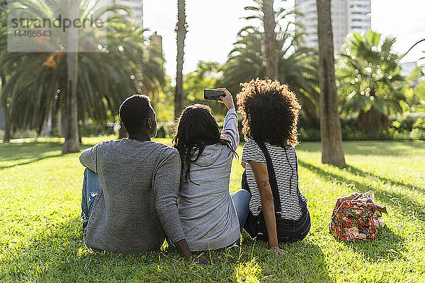 Drei Freunde sitzen in einem Park  sehen sich den Sonnenuntergang an  machen ein Selfie