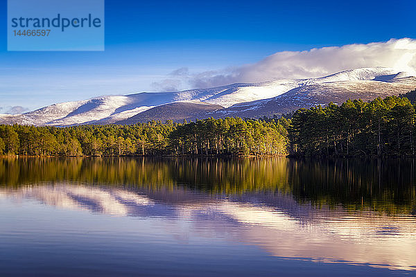 Vereinigtes Königreich  Schottland  Highlands  Cairngorms-Nationalpark  Loch an Eilean  Winter