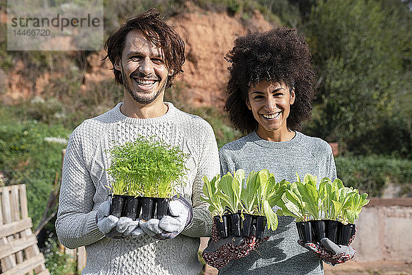 Glückliches Paar hält Salatsetzlinge in einem Gemüsegarten