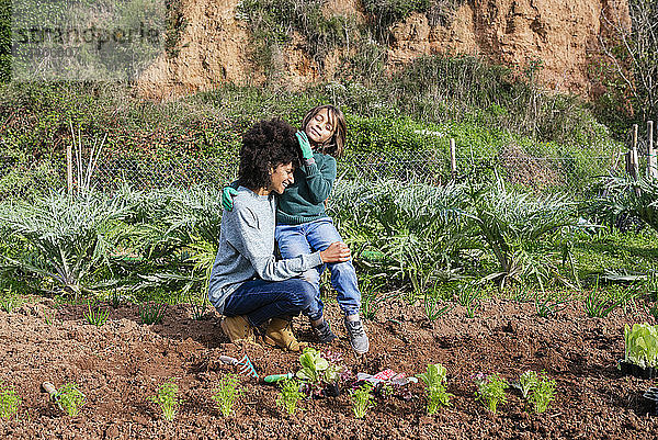 Mutter und Sohn pflanzen Salatsetzlinge im Gemüsegarten