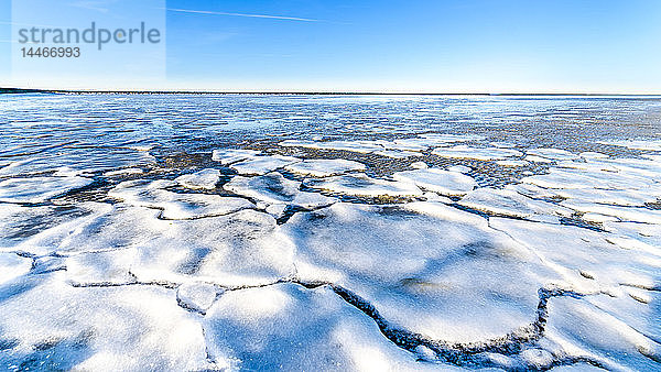 Deutschland  Niedersachsen  Butjadingen  Nordsee  Eisschollen im Winter