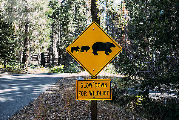 USA  Kalifornien  Sequoia Natioal Park  Animal Crossing Sign  Familie von Mama und Baby-Bären