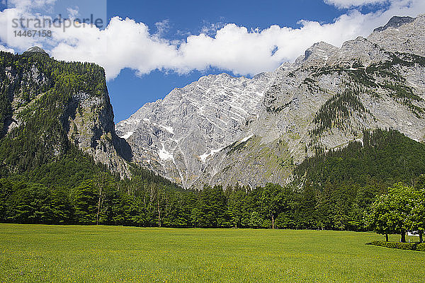 Deutschland  Bayern  Oberbayern  Berchtesgadener Alpen  Nationalpark Berchtesgaden  Watzmann