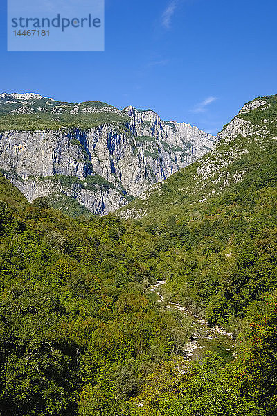 Montenegro  in der Nähe von Kolasin  Mrtvica-Schlucht  Mrtvica-Fluss