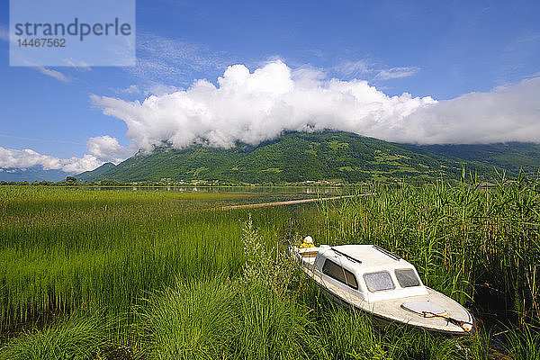 Montenegro  Plav  Plavsko jezero  Motorboot am Seeufer