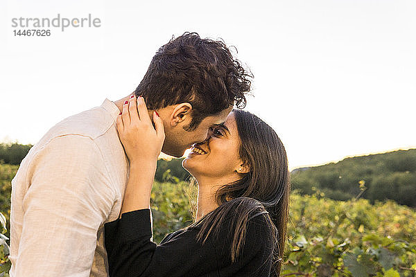 Italien  Toskana  Siena  glückliches junges Paar küsst sich in einem Weinberg