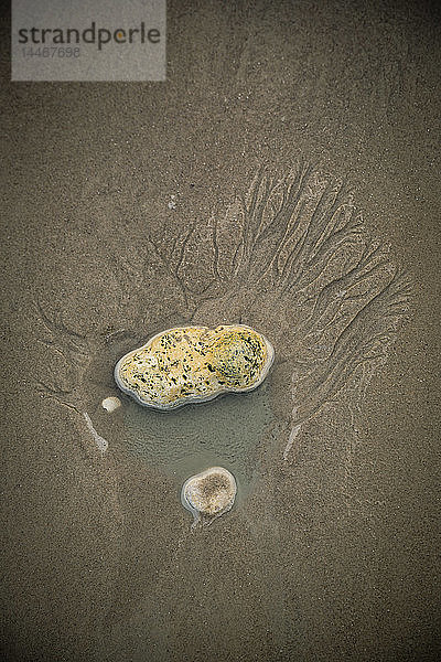 Steine auf nassem Sand am Strand