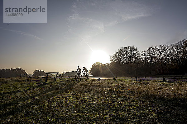 Vereinigtes Königreich  England  London  Radfahrer im Richmond Park gegen die Morgensonne