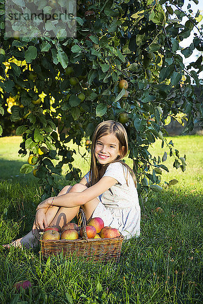 Porträt eines glücklichen kleinen Mädchens auf einer Wiese sitzend mit einem Korb mit gepflückten Äpfeln