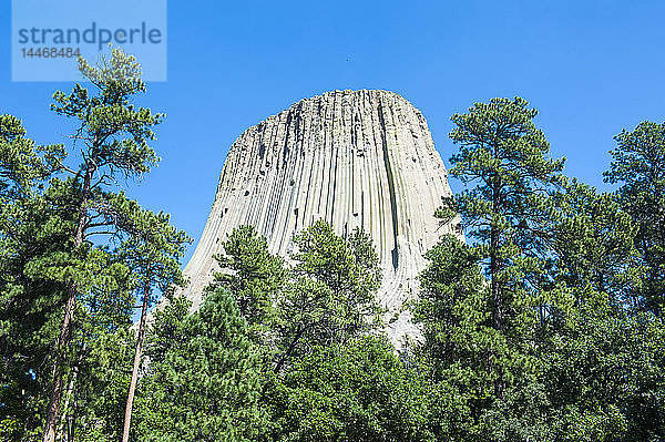 USA  Wyoming  Devils Tower National Monument