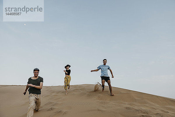 Namibia  Namib  drei Freunde laufen auf einer Wüstendüne und amüsieren sich
