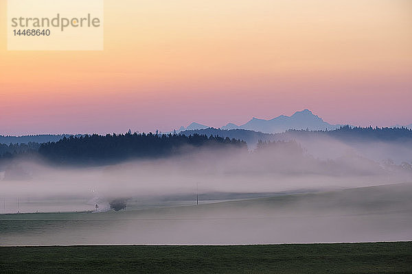 Deutschland  Bayern  Alpenvorland bei Dietramszell  Morgendämmerung mit Nebel