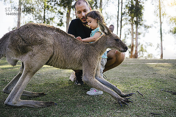 Australien  Brisbane  Vater und kleine Tochter streicheln zahmes Känguru