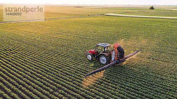 Serbien  Vojvodina  Luftaufnahme eines Traktors  der Sojabohnenkulturen besprüht