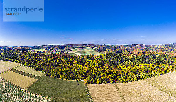 Deutschland  Hessen  Hochtaunuskreis  Luftaufnahme von Wald und Feldern im Herbst