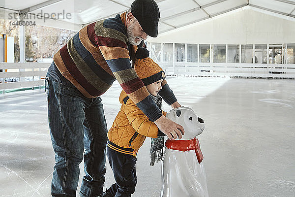 Grossvater und Enkel auf der Eisbahn  Schlittschuhlaufen  mit Eisbärenfigur als Requisite