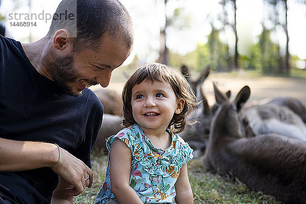 Australien  Brisbane  lachender Vater mit seiner kleinen Tochter vor einer Gruppe von Kängurus