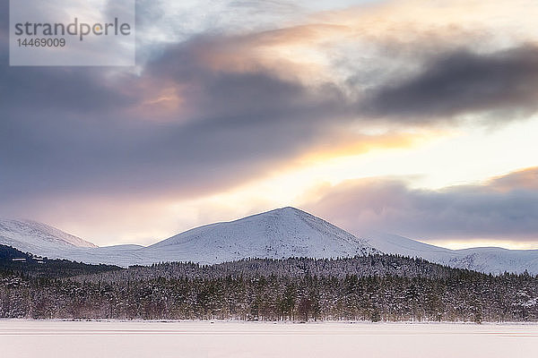 Vereinigtes Königreich  Schottland  Highlands  Cairngorms National Park  Loch Morlich  Sonnenuntergang