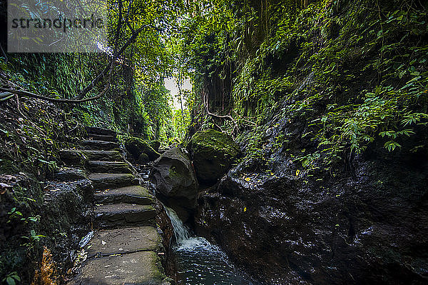 Indonesien  Bali  Treppe im heiligen Affenwald Ubud
