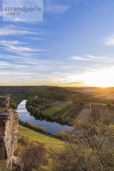 Deutschland  Baden-Württemberg  Hessigheim  Neckartal  Neckar  Neckarfluss  Neckarbecken  Naturschutzgebiet Hessigheimer Felsengärten