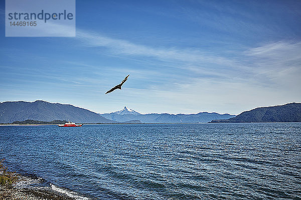 Chile  Chaiten  Fähre im Fjord an der Carretera Austral