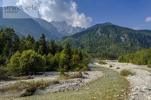 Slowenien  Gorenjska  Triglav-Nationalpark  Sava Dolinka  Oberlauf