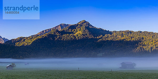 Deutschland  Bayern  Oberallgäu  Loretto-Wiesen bei Oberstdorf mit Morgennebel und Bergen im Hintergrund