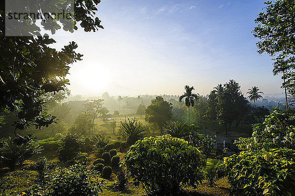 Indonesien  Java  Blick vom Borobudur-Tempelkomplex am frühen Morgen auf die Landschaft um