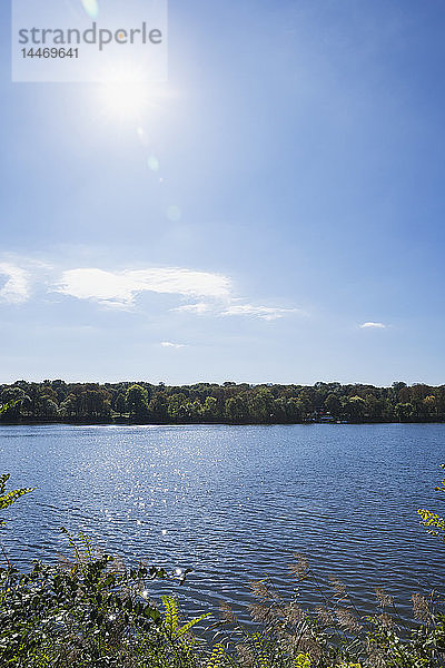 Deutschland  Sachsen  Leipzig  Auensee im Gegenlicht