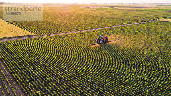 Serbien  Vojvodina  Luftaufnahme eines Traktors  der Sojabohnenkulturen besprüht