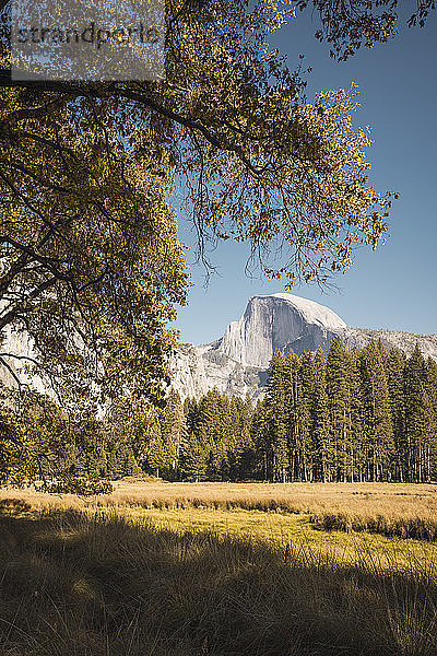 USA  Kalifornien  Yosemite National Park  Landschaft mit El Capitan im Hintergrund