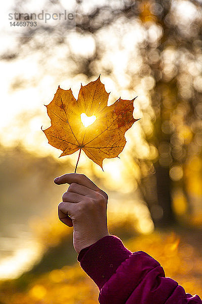 Mädchenhand hält Herbstblatt mit herzförmigem Loch bei Sonnenuntergang