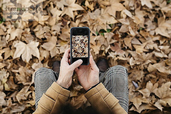 Nahaufnahme eines Mannes  der ein Handyfoto vom Herbstlaub macht