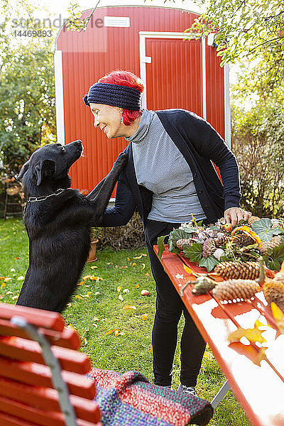 Lächelnde ältere Frau mit rot gefärbtem Haar  die ihren Hund streichelt  während sie an der Herbstdekoration bastelt