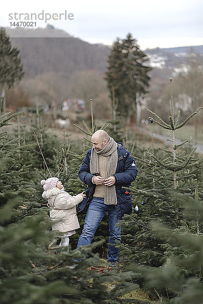 Vater und Tochter schmücken den Weihnachtsbaum auf einer Plantage