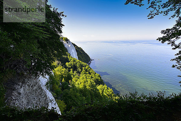 Deutschland  Rügen  Nationalpark Jasmund  Kreidefelsen Koenigsstuhl