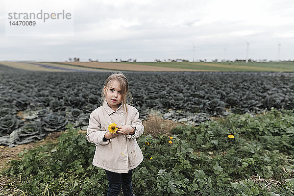Porträt eines Mädchens  das an einem Kohlfeld steht und eine Blume hält