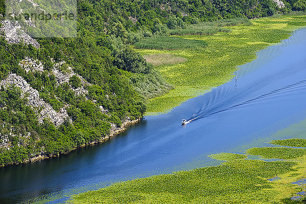 Montenegro  Fluss Crnojevic vom Aussichtspunkt Pavlova Strana aus gesehen