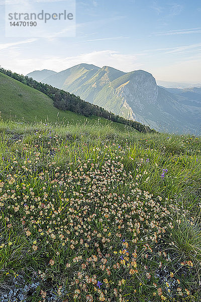 Italien  Umbrien  Apennin  Blick auf den Monte Catria vom Monte Motette