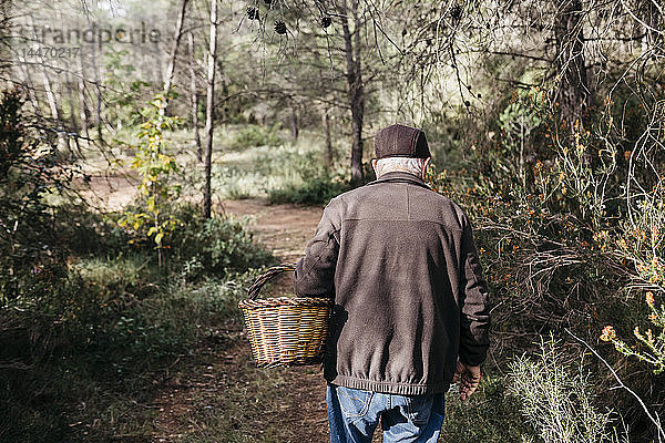 Älterer Mann sucht im Wald nach Pilzen