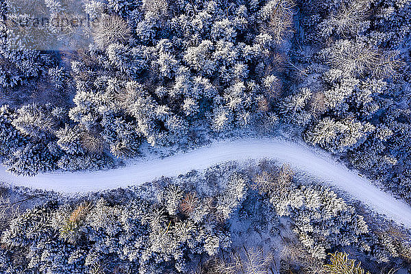 Deutschland  Baden-Württemberg  Rems-Murr-Kreis  Schwäbischer Wald  Luftbild des Waldes im Winter