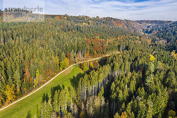 Deutschland  Baden-Württemberg  Schwäbisch-Fränkischer Wald  Luftaufnahme des Waldes im Herbst