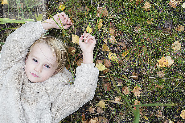 Porträt eines blonden Mädchens  das im Herbst auf einer Wiese liegt  Draufsicht