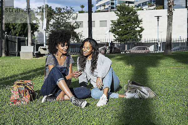 Freundinnen  die im Park sitzen  Spaß haben  Smartphone benutzen