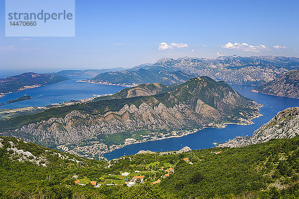 Montenegro  Bucht von Kotor  nahe Kotor  Halbinsel Vrmac