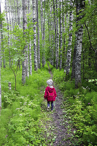 Finnland  Kuopio  Mädchen geht in einem Birkenwald