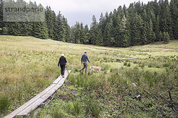 Österreich  Tirol  Kaisergebirge  Mutter und erwachsener Sohn mit Hund auf einer Wanderung in den Bergen