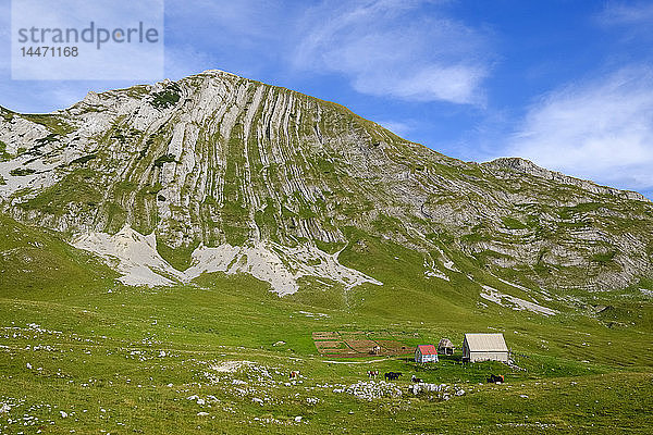 Montenegro  Durmitor-Nationalpark  Durmitormassiv  Berg Prutas